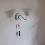 U Kota I Psa Jastarnia