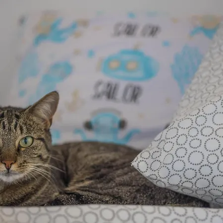 U Kota I Psa * Jastarnia