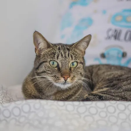 U Kota I Psa Alloggio in famiglia *