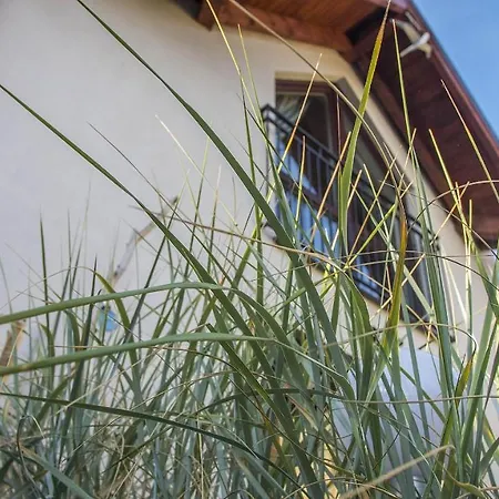 U Kota I Psa Jastarnia