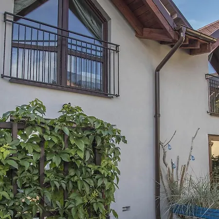 U Kota I Psa * Jastarnia