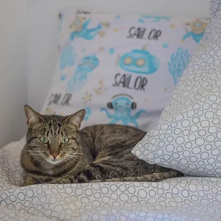 U Kota I Psa Alloggio in famiglia *