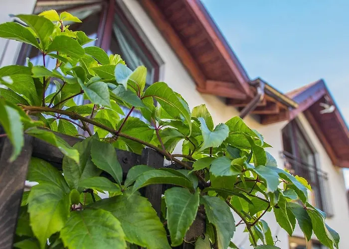 U Kota I Psa Jastarnia