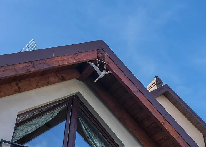 U Kota I Psa Rum i privatbostad *