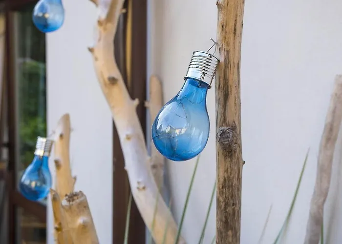 U Kota I Psa Jastarnia