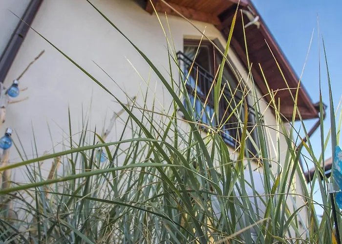 U Kota I Psa Jastarnia