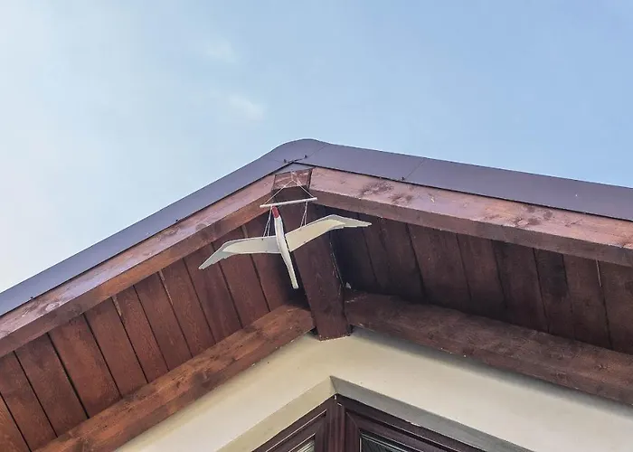 U Kota I Psa * Jastarnia